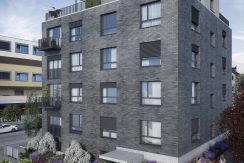 Swiss Interactive Visualisierung