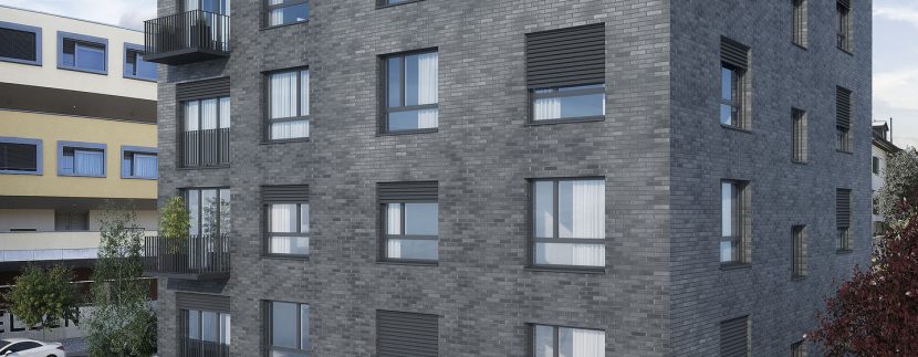 Swiss Interactive Visualisierung