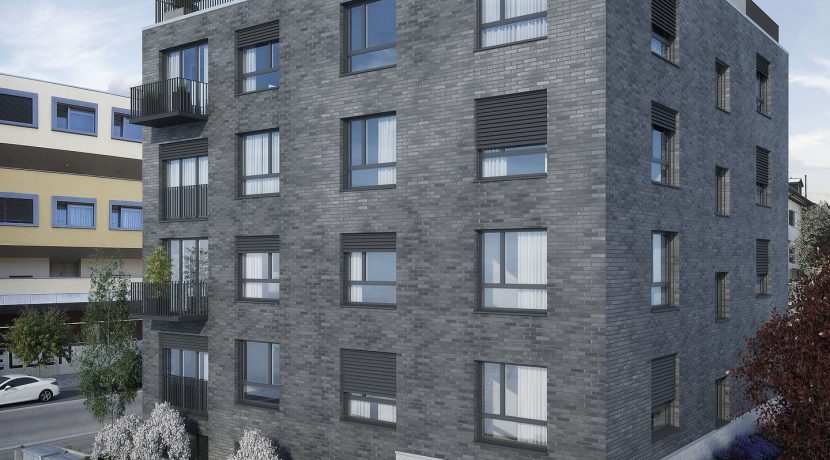 Swiss Interactive Visualisierung