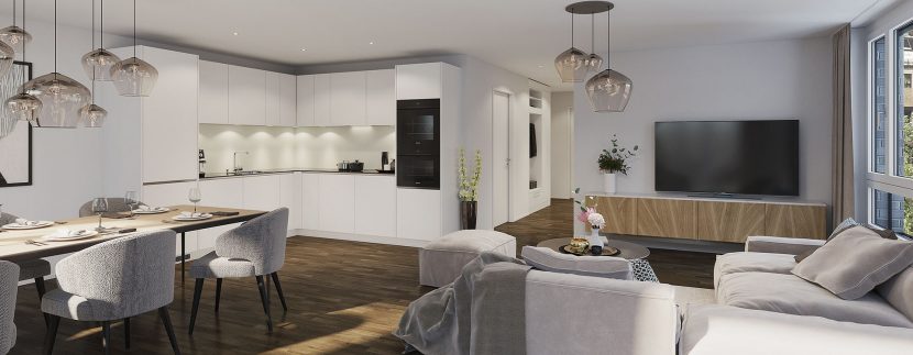 Swiss Interactive Visualisierung