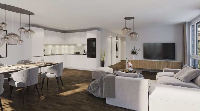 Swiss Interactive Visualisierung