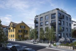 Swiss Interactive Visualisierung