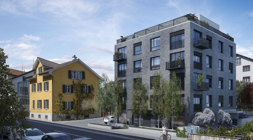 Swiss Interactive Visualisierung