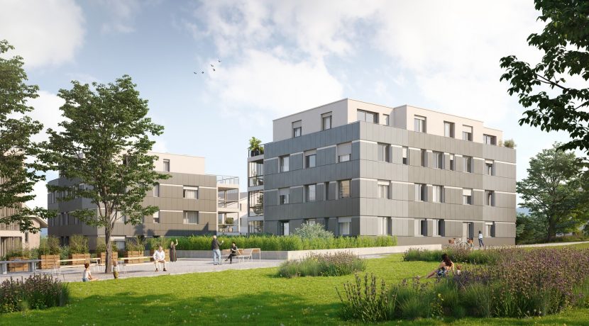 8g8VtPcP6Jez2KqFErKMREFk-364_siro_cam_02