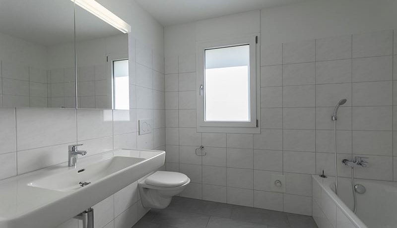 50aacc40a317b67551b72a2f1a5cee83