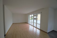 55e6cb660eed425a5534913953950e0b