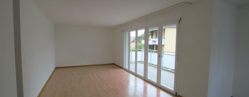 55e6cb660eed425a5534913953950e0b