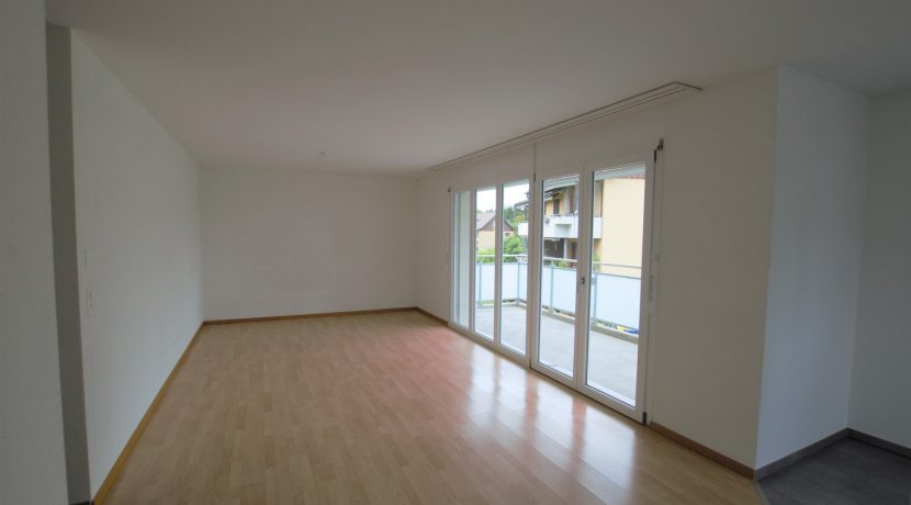 55e6cb660eed425a5534913953950e0b