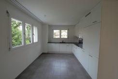 85d04f7fdf125c71b4c551b4d372b04f