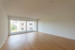 c2c5109fed9b51b707f21a50ca1e1a90