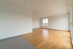 24d1873ef56d22234a8ada53d7308d3c