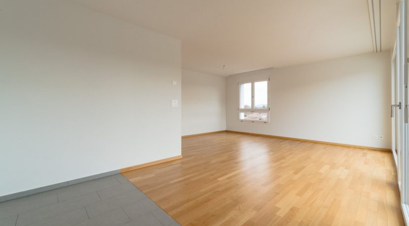 24d1873ef56d22234a8ada53d7308d3c