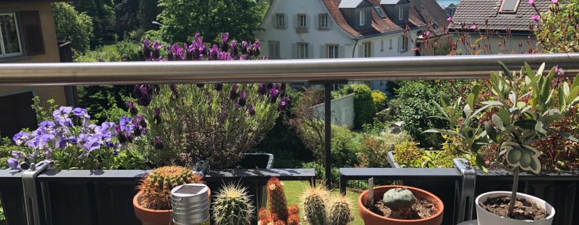 da09b1e7829004c81e3ad67ddd125a56