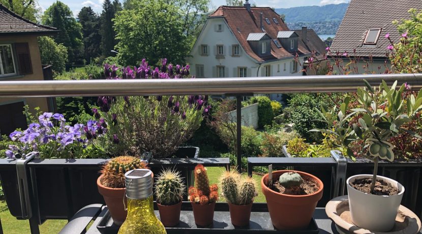 da09b1e7829004c81e3ad67ddd125a56