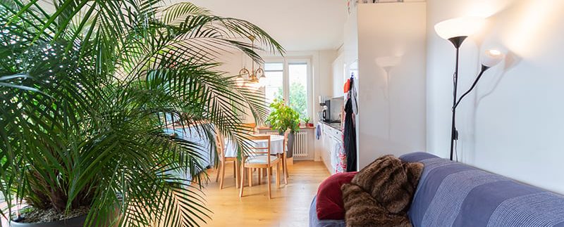 efbe6953554fa3a53e5f946d0b2a092c