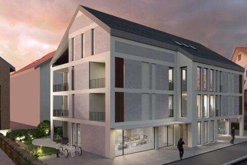 Gewerbe Neubauprojekt Living, Hinwil (1)