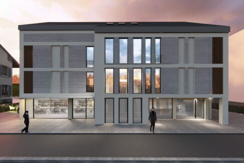 2.5 Zimmerwohnung Neubauprojekt Living, Hinwil (2)