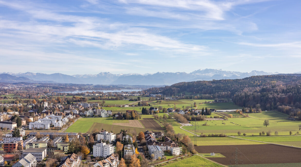 Aussicht Berge, See und Wald