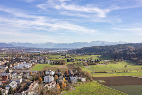 Aussicht Berge, See und Wald