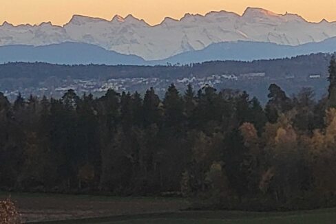 Aufnahmen aus dem Privatarchiv des Eigentümers