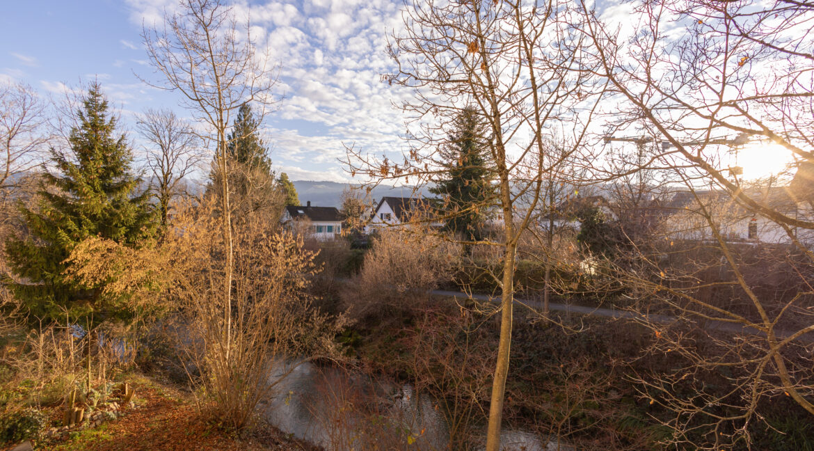 Blick in die grüne Umgebung – Natur und Ruhe direkt vor der Haustüre
