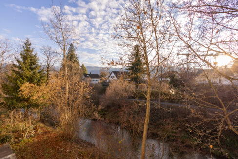 Blick in die grüne Umgebung – Natur und Ruhe direkt vor der Haustüre