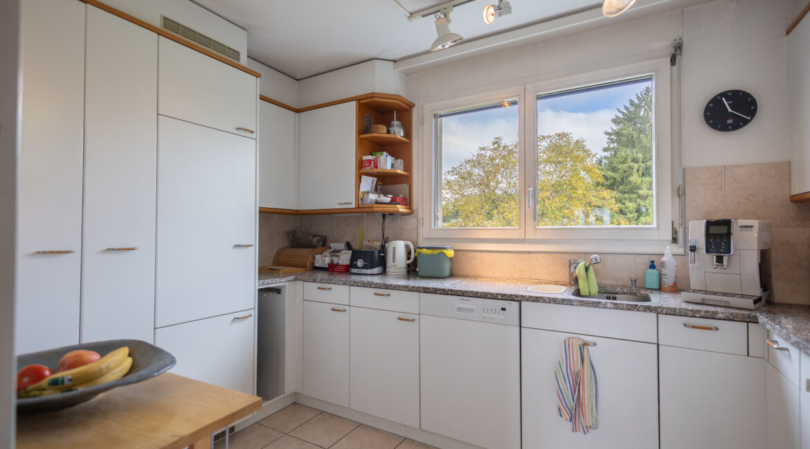 Helle, praktische Küche mit Aussicht ins Grüne