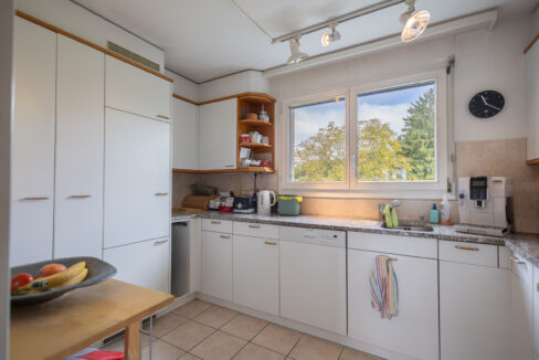 Helle, praktische Küche mit Aussicht ins Grüne