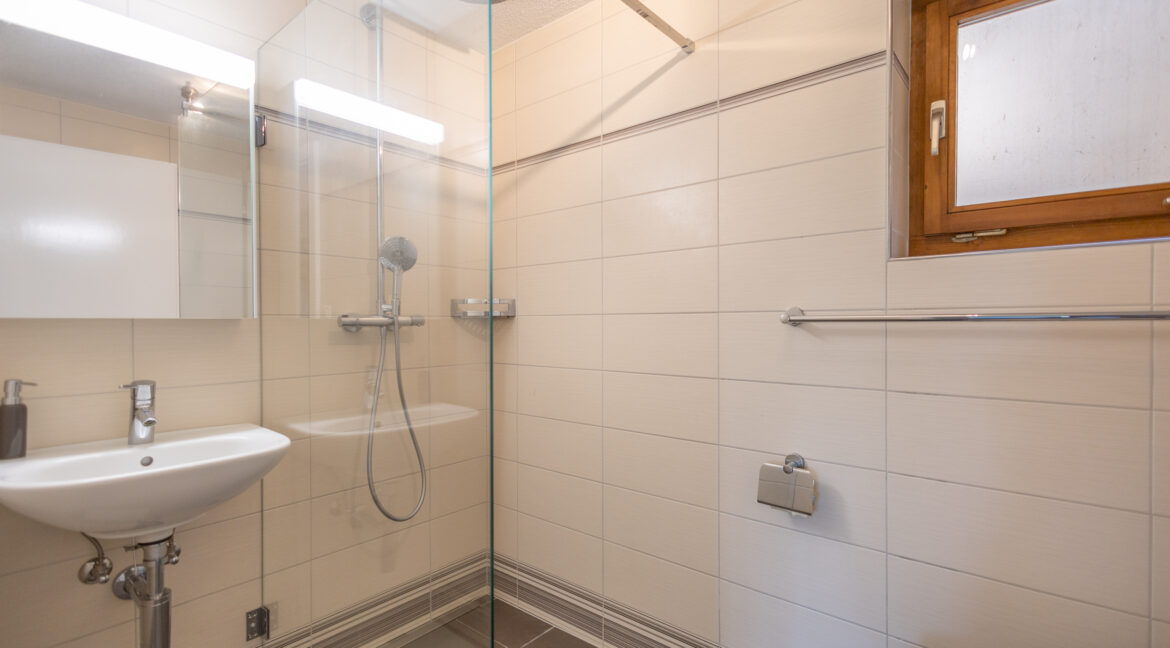 Praktische und moderne Dusche/WC im Untergeschoss